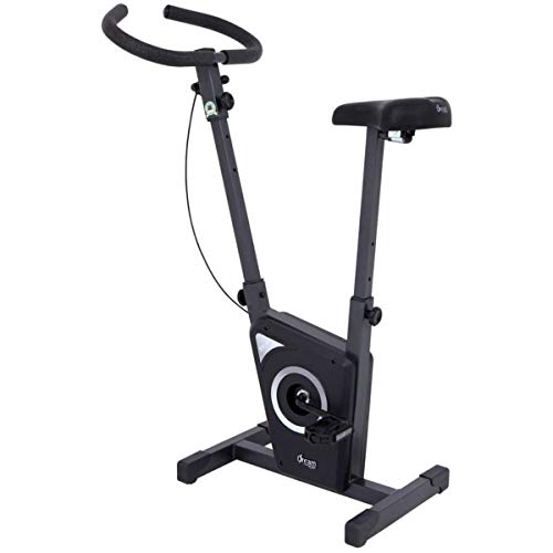Dream Fitness EX 450 - Bicicleta Ergométrica Vertical, Chumbo, Único