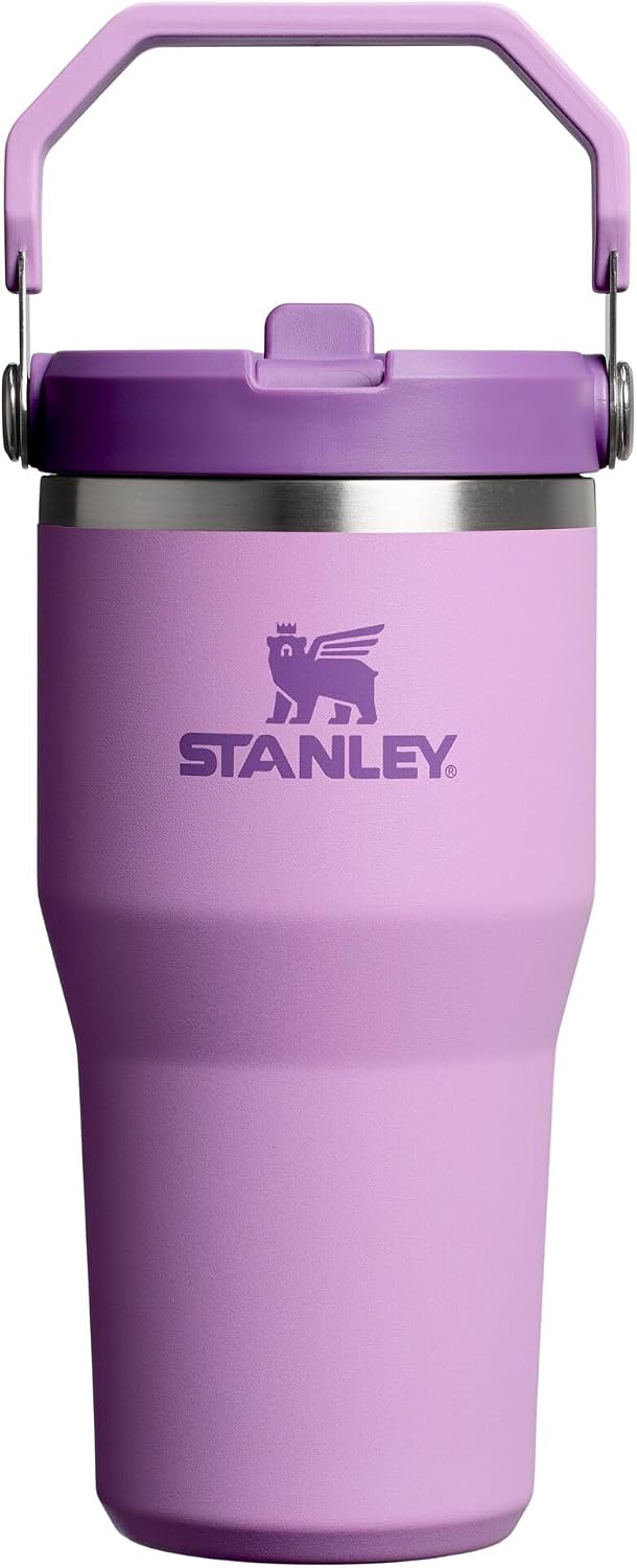STANLEY IceFlow 2.0 Flip Straw Tumbler, 20 oz, Lilac